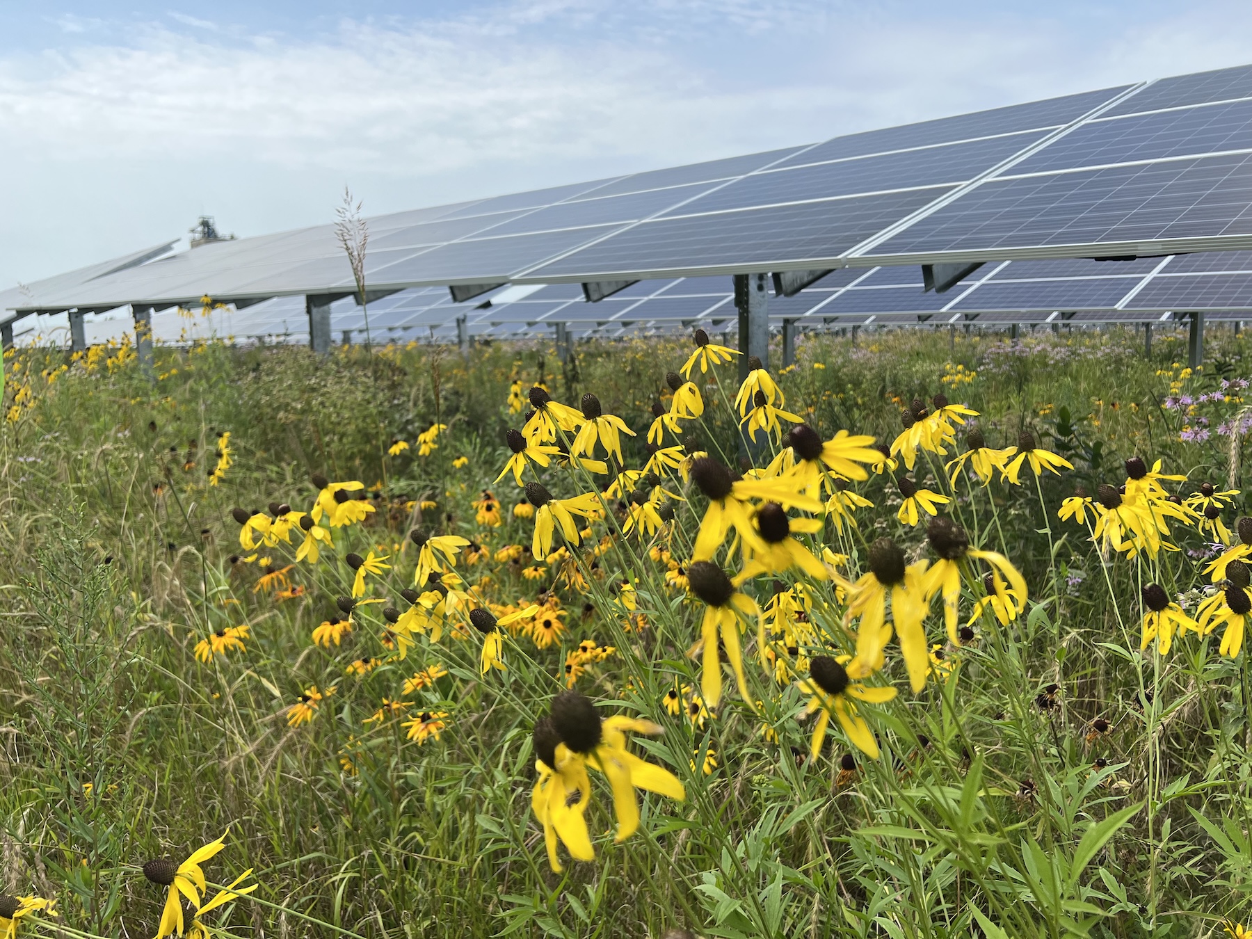 Solar Soil program illustration