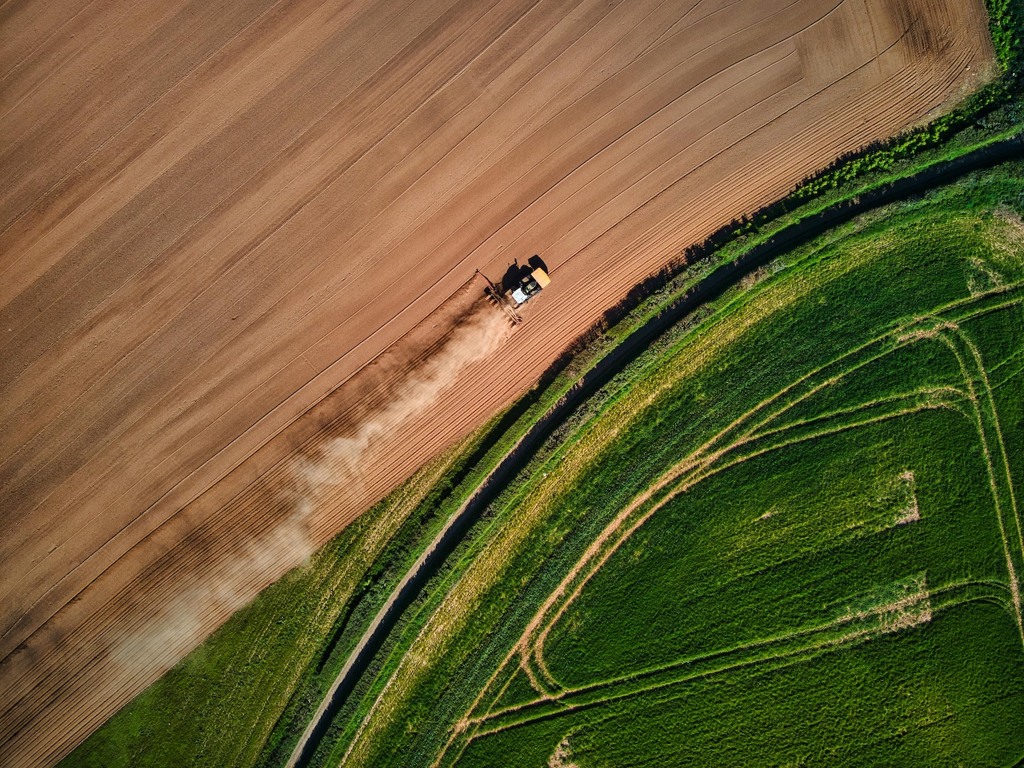 National soil database